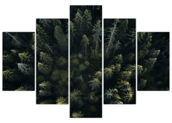 Tablou - Pădure (150x105 cm)