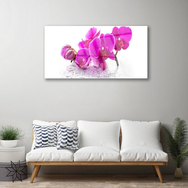 Tablou pe sticla Flori roz Floral