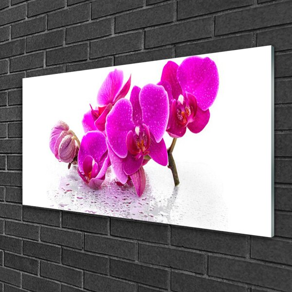 Tablou pe sticla Flori roz Floral