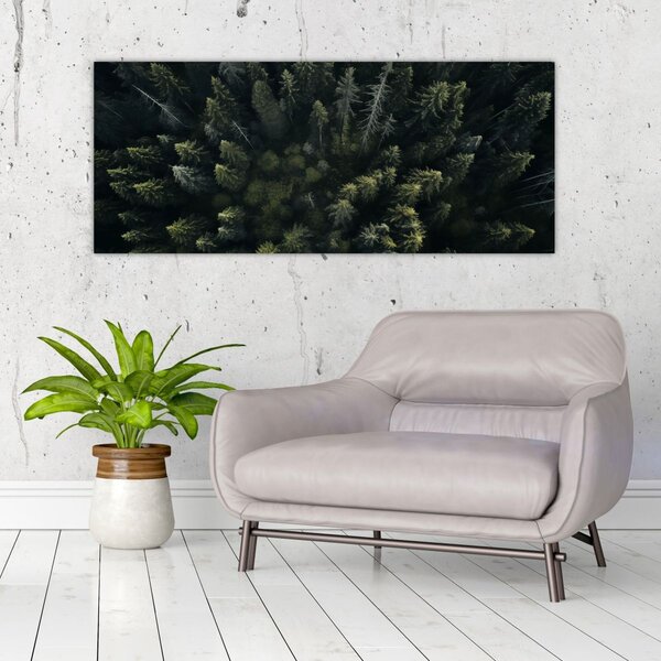 Tablou - Pădure (120x50 cm)