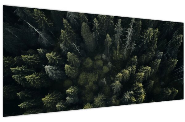 Tablou - Pădure (120x50 cm)