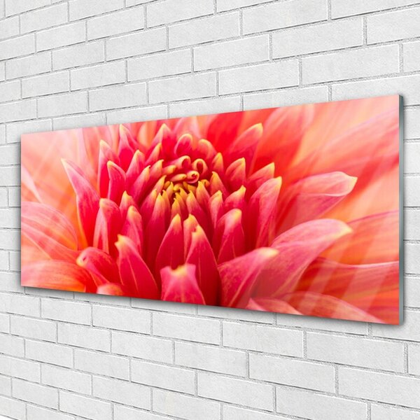 Tablou pe sticla Florale flori Orange
