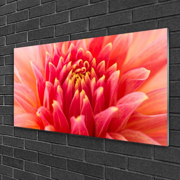 Tablou pe sticla Florale flori Orange