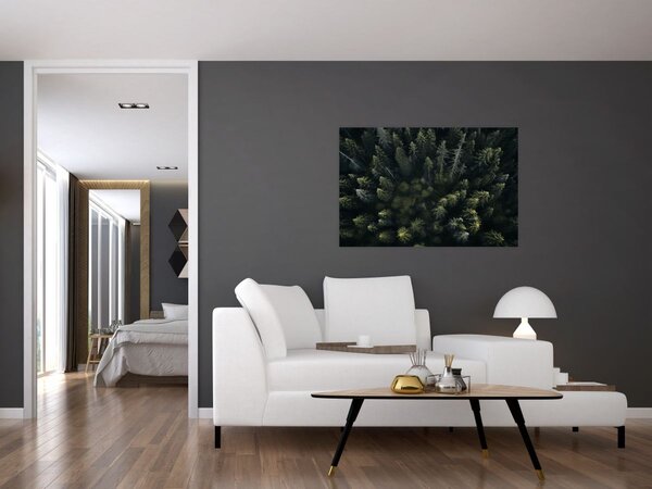 Tablou - Pădure (90x60 cm)
