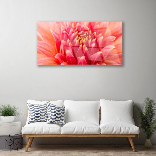 Tablou pe sticla Florale flori Orange