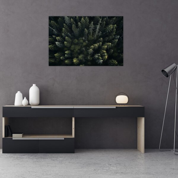 Tablou - Pădure (90x60 cm)