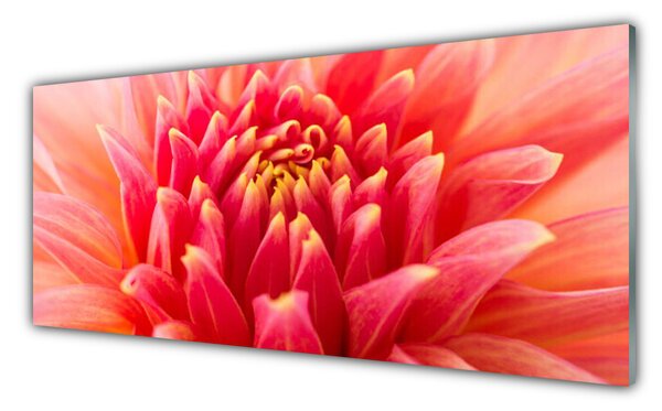 Tablou pe sticla Florale flori Orange