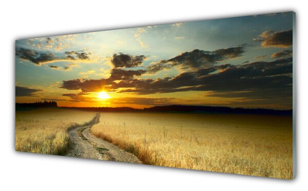 Tablou pe sticla Way Meadow Peisaj Gri Galben