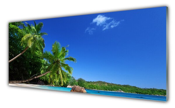 Tablou pe sticla Palm Copaci Peisaj Brun Verde