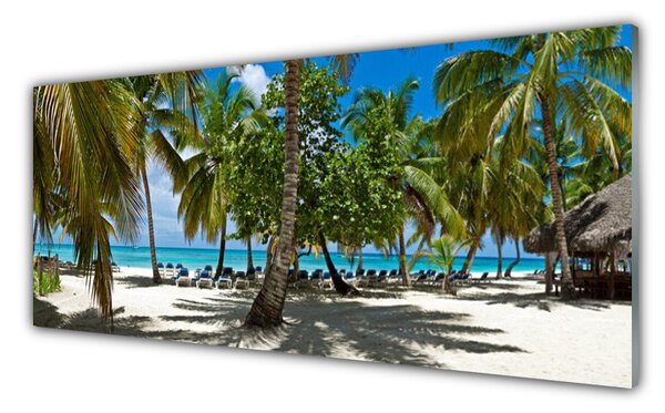 Tablou pe sticla Palm Beach Copaci Peisaj Brun Verde