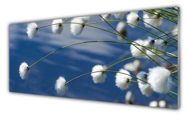 Panou sticla bucatarie Flori Floral alb