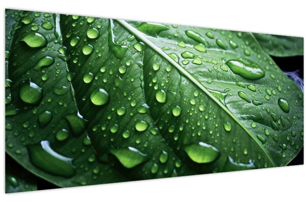 Tablou - Detaliu de frunze după ploaie (120x50 cm)