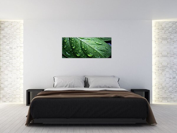 Tablou - Detaliu de frunze după ploaie (120x50 cm)
