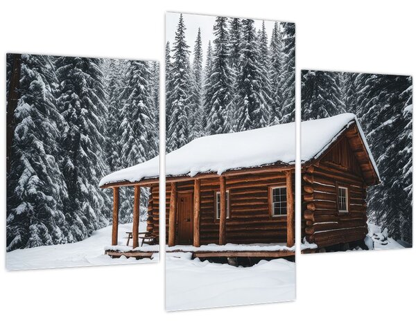 Tablou - Cabană acoperită de zăpadă (90x60 cm)