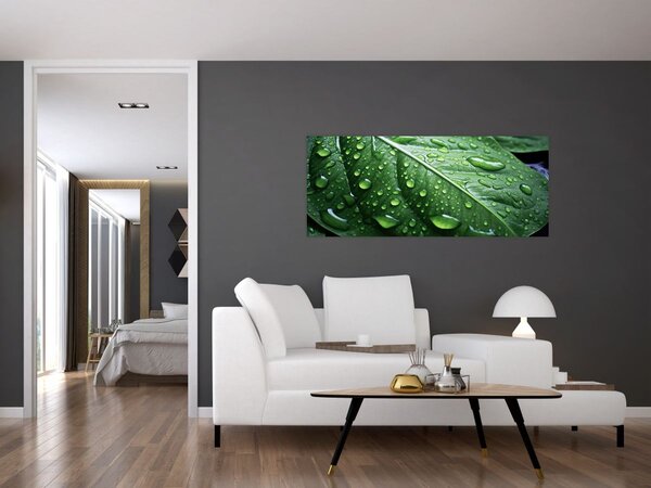 Tablou - Detaliu de frunze după ploaie (120x50 cm)