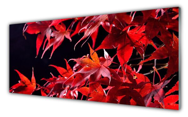 Tablou pe sticla Frunze Floral Orange