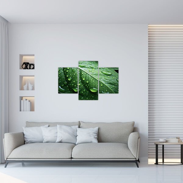 Tablou - Detaliu de frunze după ploaie (90x60 cm)