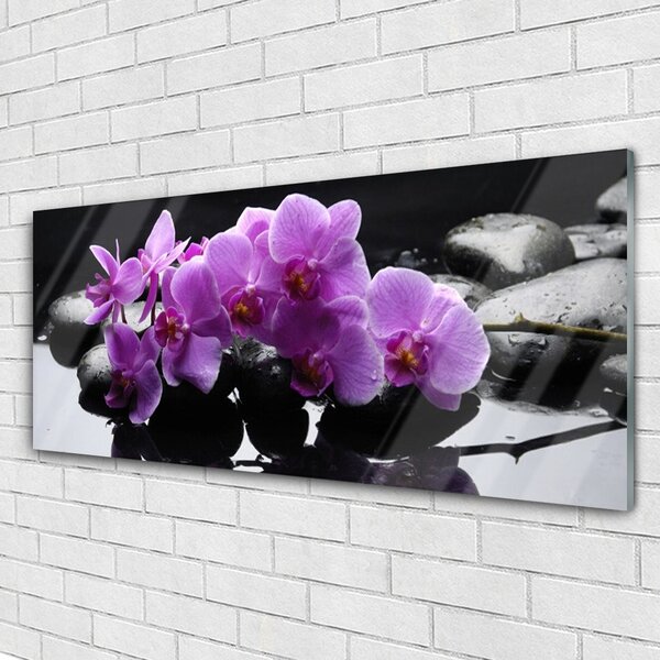 Tablou pe sticla Pietrele florale flori roz negru