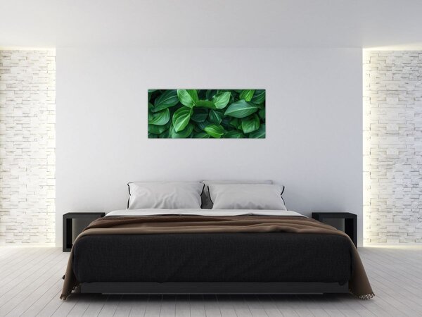 Tablou - Frunze verzi (120x50 cm)
