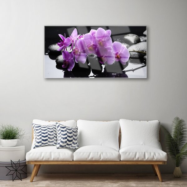Tablou pe sticla Pietrele florale flori roz negru