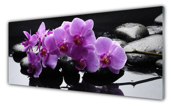 Tablou pe sticla Pietrele florale flori roz negru