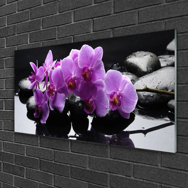 Tablou pe sticla Pietrele florale flori roz negru