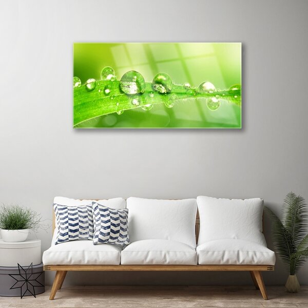 Tablou pe sticla Leaf Dewdrops Floral Verde