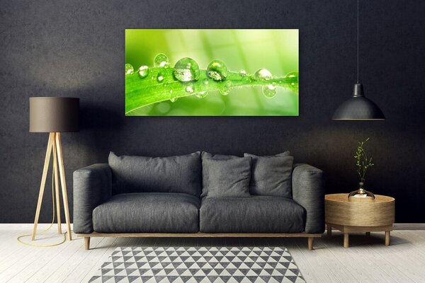 Tablou pe sticla Leaf Dewdrops Floral Verde