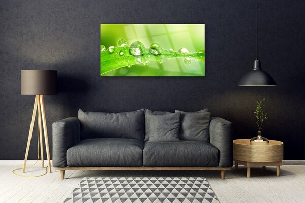 Tablou pe sticla Leaf Dewdrops Floral Verde