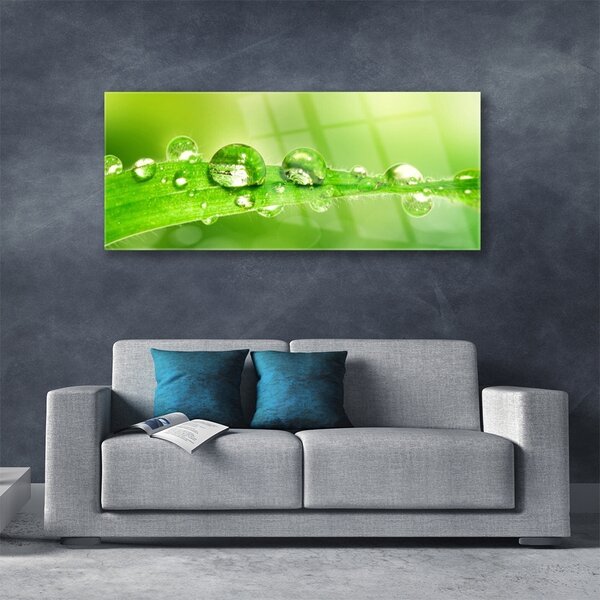 Tablou pe sticla Leaf Dewdrops Floral Verde