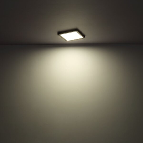 Plafonieră LED LASSE LED/24W/230V 3000/4000/6500K albă Globo 12380-24W