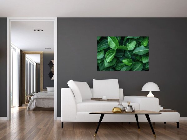 Tablou - Frunze verzi (90x60 cm)
