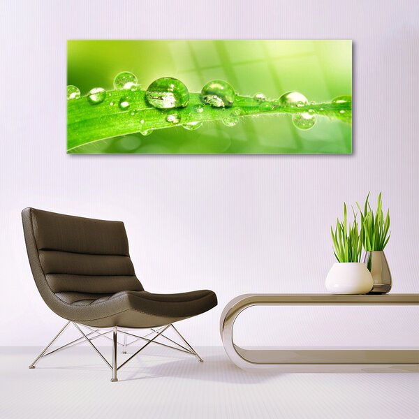 Tablou pe sticla Leaf Dewdrops Floral Verde