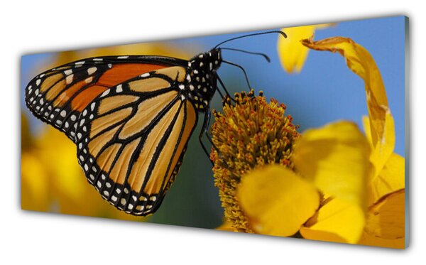 Tablou pe sticla Butterfly Flower Natura Negru Alb Galben