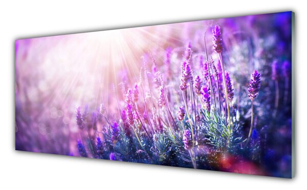 Tablou pe sticla Flori Floral Roz Violet
