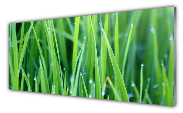 Panou sticla bucatarie Weed Natura verde