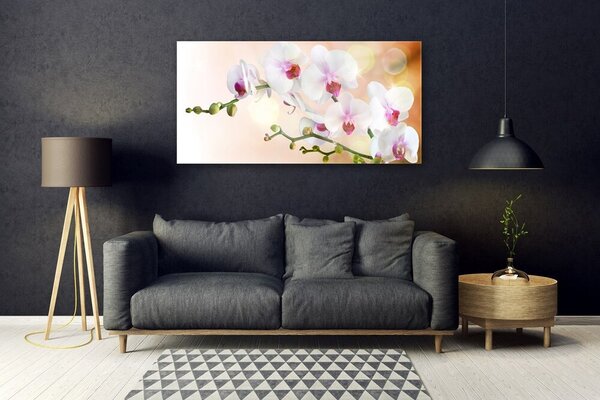 Tablou pe sticla Flori Floral Alb Roz