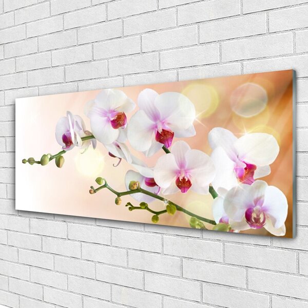 Tablou pe sticla Flori Floral Alb Roz