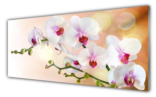 Tablou pe sticla Flori Floral Alb Roz