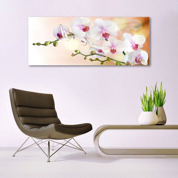 Tablou pe sticla Flori Floral Alb Roz