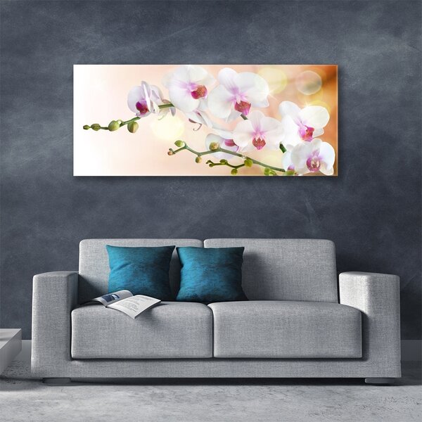Tablou pe sticla Flori Floral Alb Roz