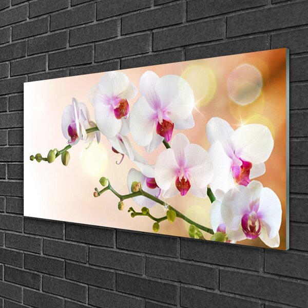 Tablou pe sticla Flori Floral Alb Roz