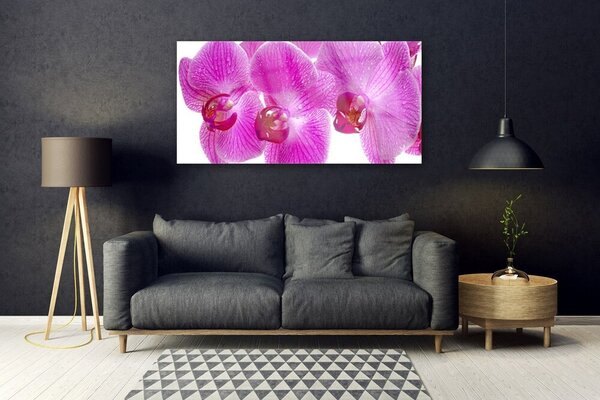 Tablou pe sticla Flori roz Floral