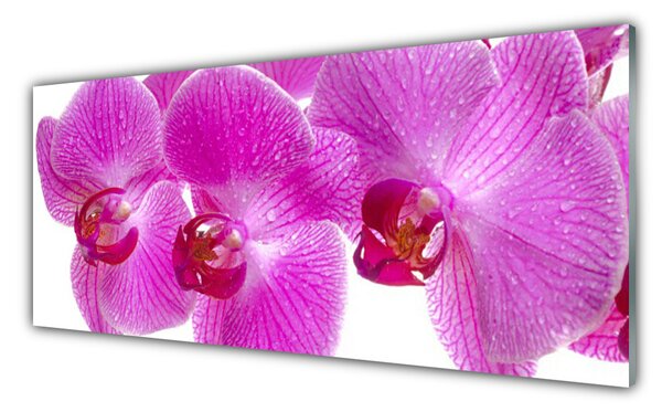 Tablou pe sticla Flori roz Floral