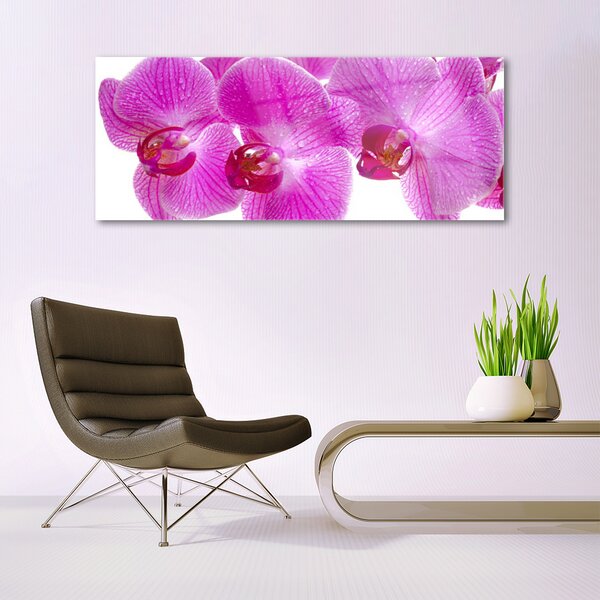 Tablou pe sticla Flori roz Floral