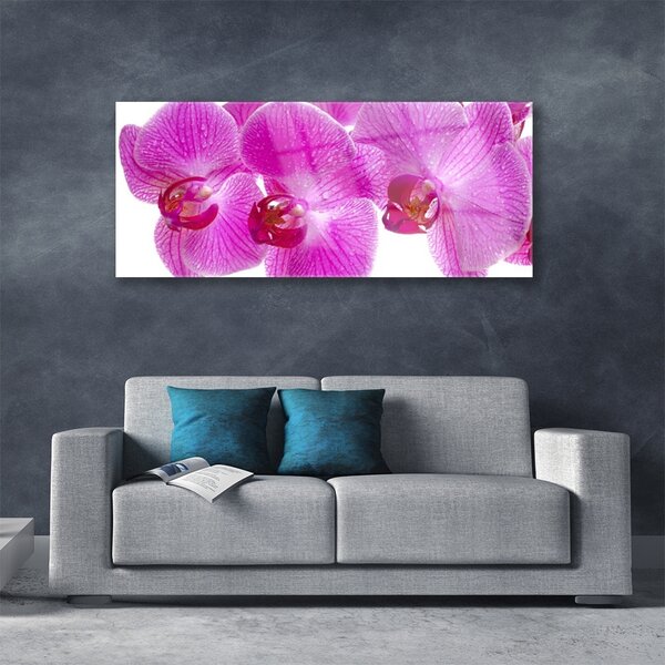 Tablou pe sticla Flori roz Floral