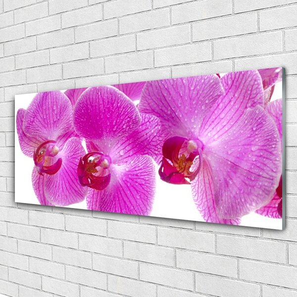 Tablou pe sticla Flori roz Floral