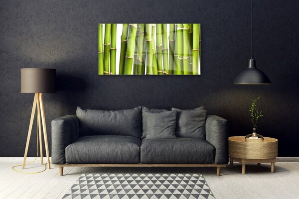 Tablou pe sticla Bamboo Canes Floral Verde