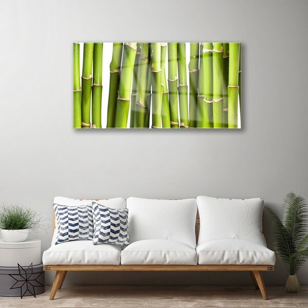 Tablou pe sticla Bamboo Canes Floral Verde