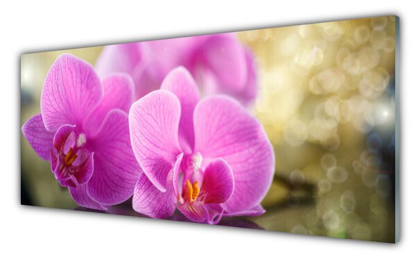 Tablou pe sticla Flori roz Floral